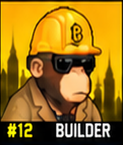 #12 BUILDER