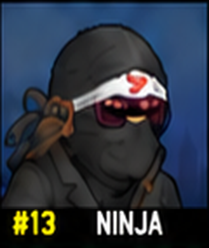 #13 NINJA