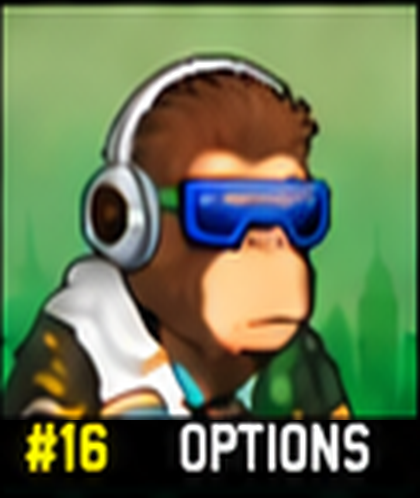 #16 OPTIONS