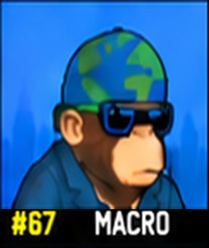 #67 MACRO