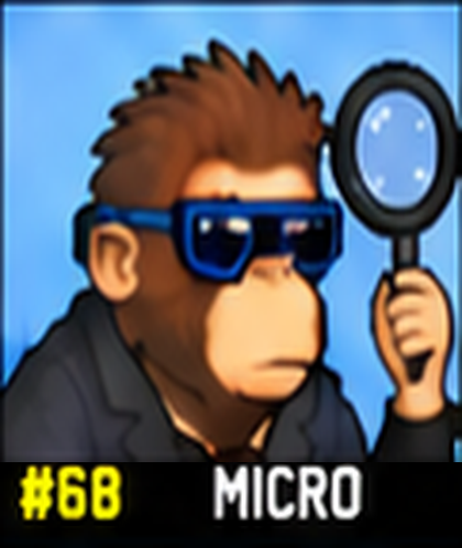 #68 MICRO
